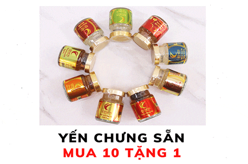 Tìm mua tổ yến, nước yến sào tại Hải Phòng uy tín 2022 5 yen chung san mua 10 tang 1