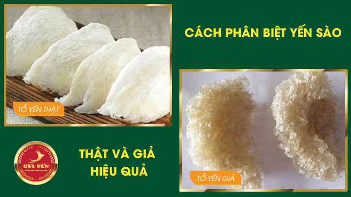 to yen that gia