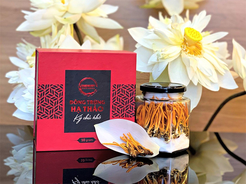 Đông trùng hạ thảo Gia Yến