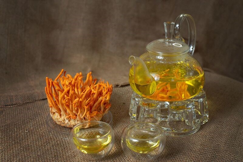 co nen uong dong trung ha thao thuong xuyen khong mot so luu y khi su dung 4