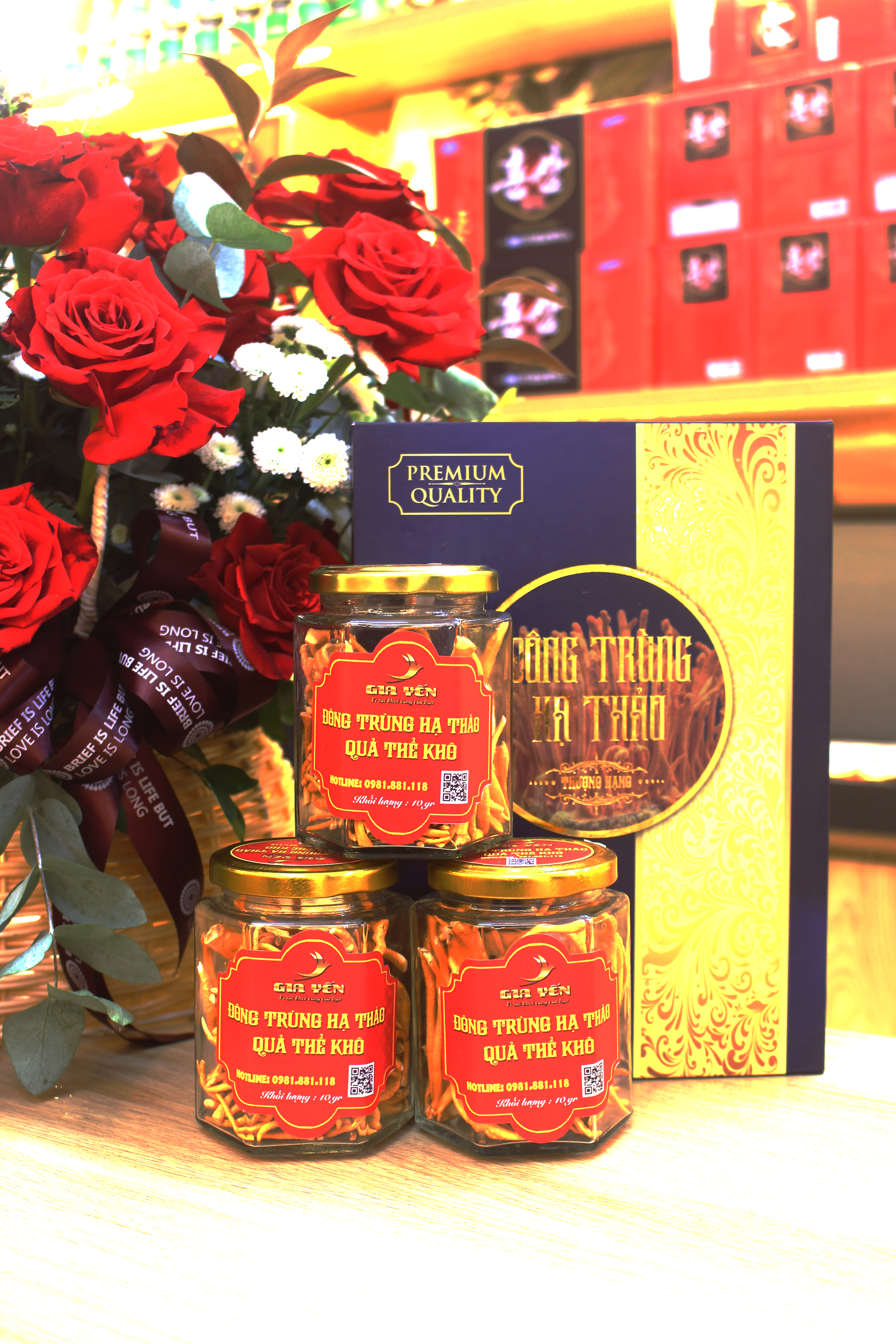 Dong trung ha thao Hai Phong