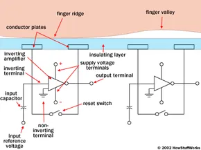 eyJidWNrZXQiOiJjb250ZW50Lmhzd3N0YXRpYy5jb20iLCJrZXkiOiJnaWZcL2ZpbmdlcnByaW50LXNjYW5uZXItZGlhZ3JhbS5naWYiLCJlZGl0cyI6eyJyZXNpemUiOnsid2lkdGgiOjI5MH19fQ