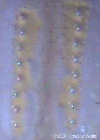 Máy in phun hoạt động như thế nào? 3